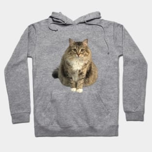 Luna the car staring Hoodie